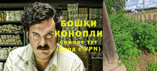 сатива Каменка