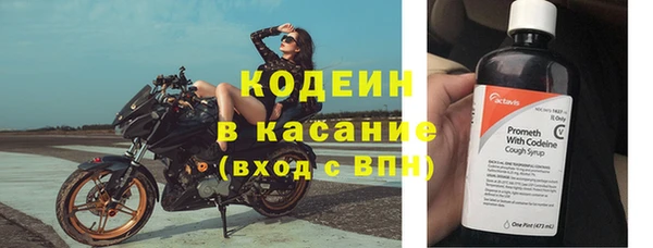 сатива Каменка