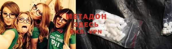 сатива Каменка