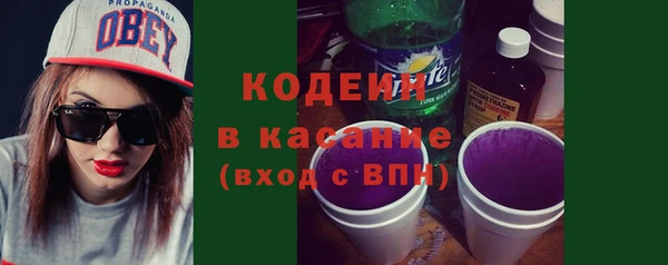 сатива Каменка