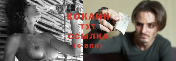 сатива Каменка