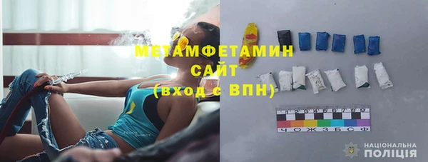 сатива Каменка
