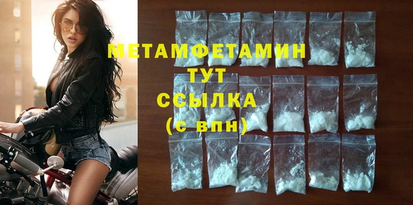сатива Каменка