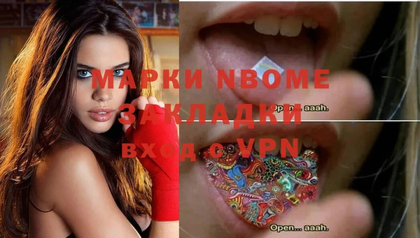 сатива Каменка