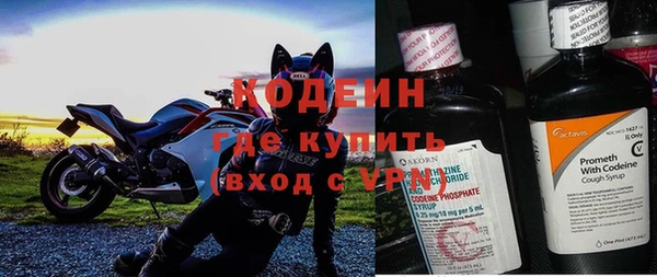 сатива Каменка
