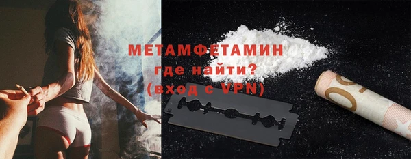 сатива Каменка