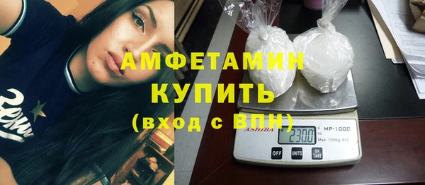 сатива Каменка